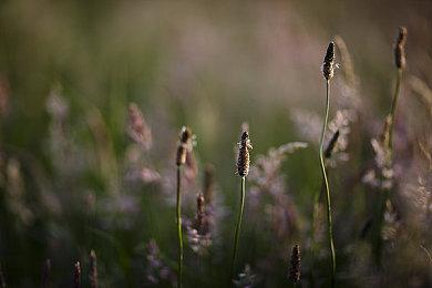 《巴士模拟器》科隆展宣传片 9月7日发售